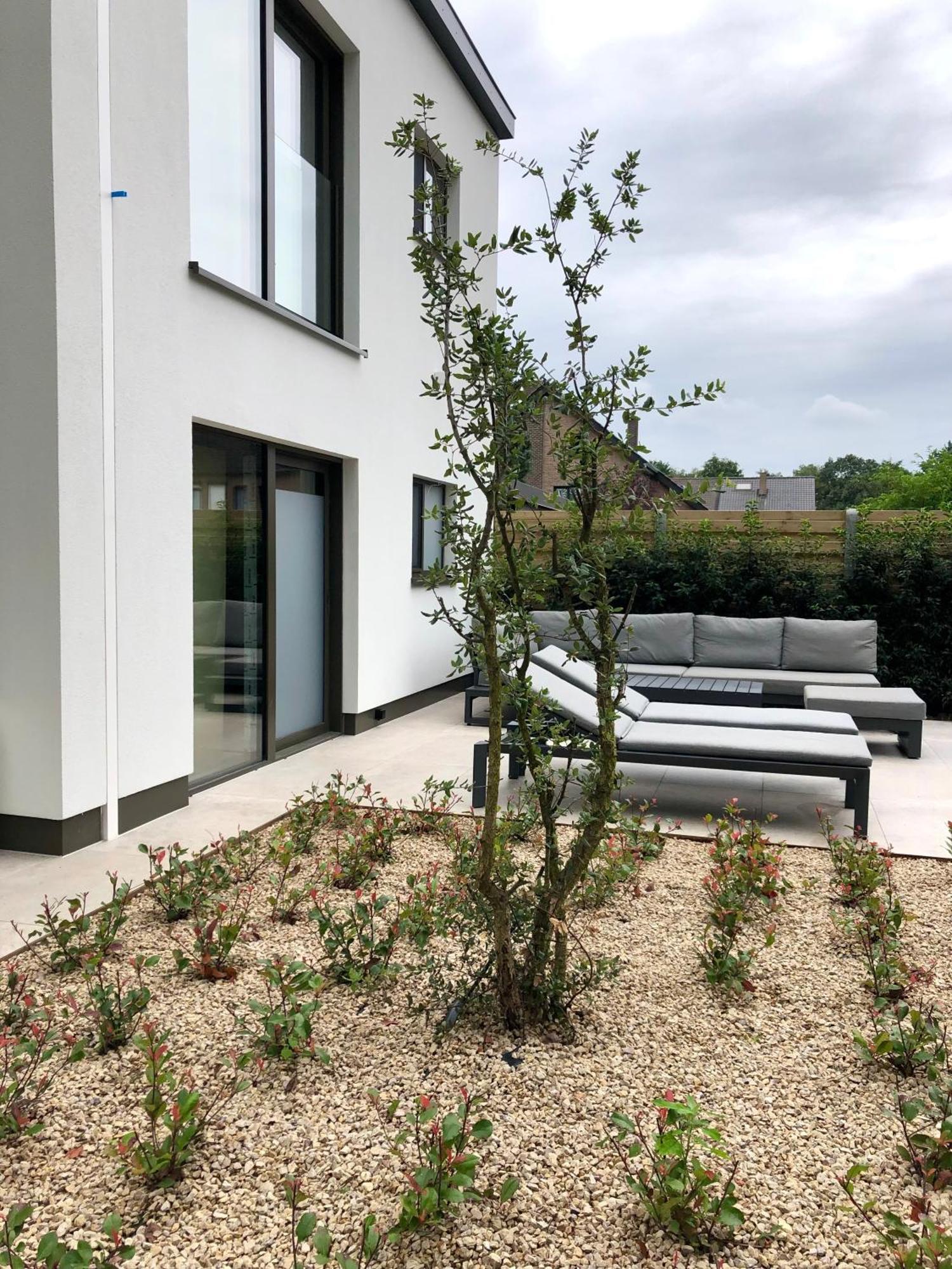 Huis Vanellus Hasselt Exteriör bild